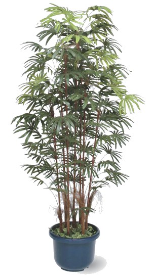 送料無料 人工観葉植物 人工観葉植物 タカショー 鉢付 1 8m花 ガーデン Diy 造花 人工観葉植物 発売日前日出荷 タカショーグリーンデコ鉢付 シュロチク7本立鉢付 1 8m くらしのもり Einfachweb De