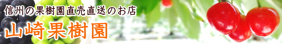 楽天市場 さくらんぼ 花駒 贈答用花駒 500g 山崎果樹園 楽天市場 さくらんぼ 花駒 贈答用花駒 500g 山崎果樹園
