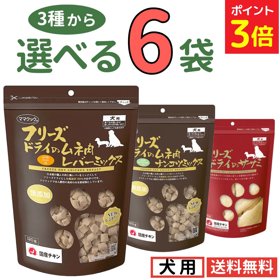 6月の百貨店SALE（6月4日～11日）