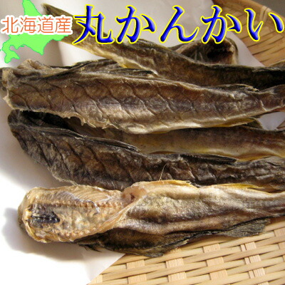 【北海道産　丸かんかい(氷下魚)/120g-10袋セット】おつまみ　珍味　こまい　コマイ　干しこまい　カンカイ　晩酌　肴｜おつまみショップ　山善みとべ