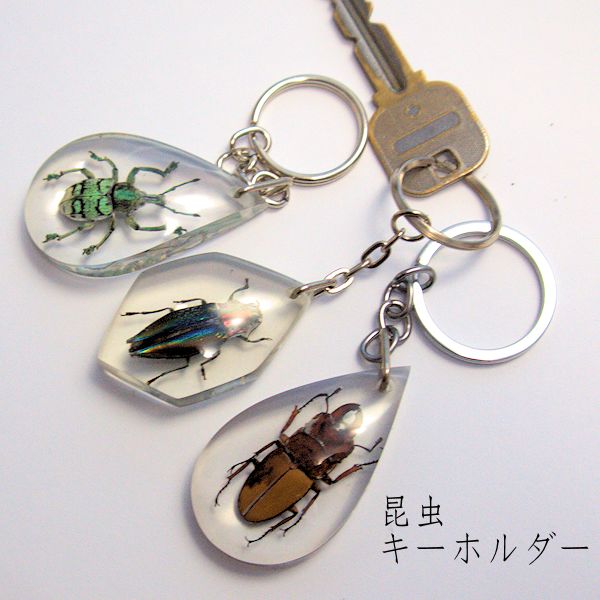 楽天市場】【数量限定】《インパクト満点》昆虫キーホルダー［パプア