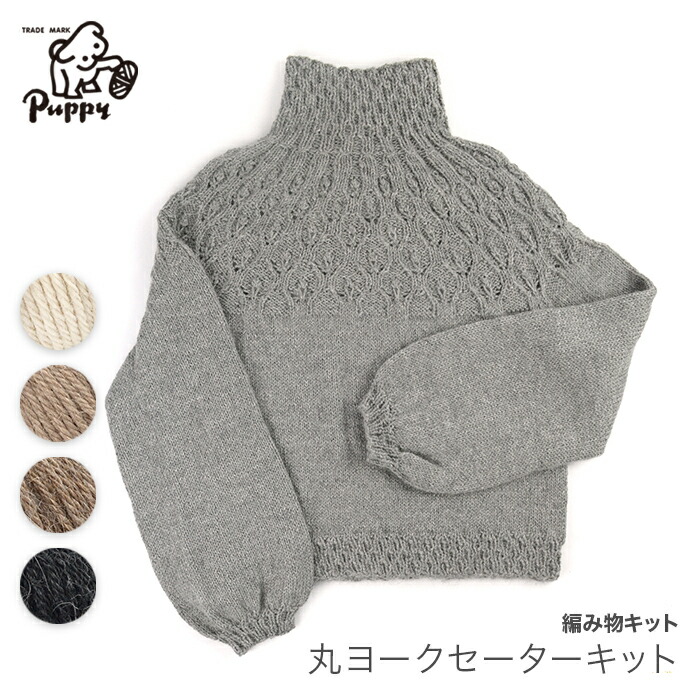 編物 一揃いの道具 梳毛糸 Puppy(パピー) チャスカで編む丸ヨークセーターキット