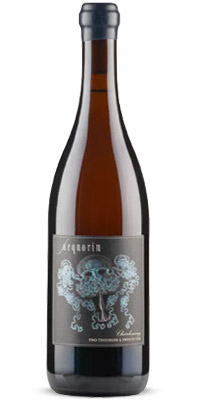 楽天市場】アンティカ テッラ ピノ ノワール 