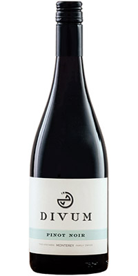 2019 Antica Terra Antikythera アンティカテッラ Antica Terra Antikythera Pinot Noir(アンティカ・テッラ