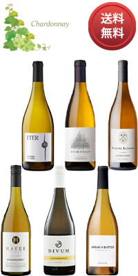 楽天市場】【最終在庫】 アンティカ テッラ ピノ ノワール