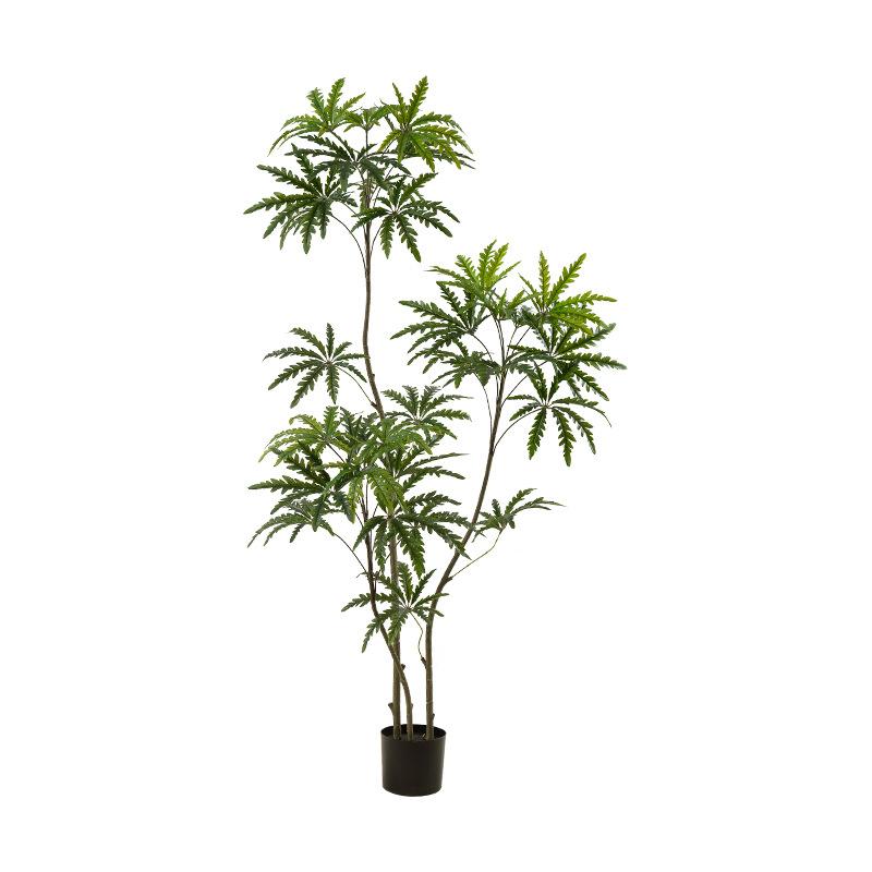 フェイクグリーン 孔雀木 観葉植物 鉢植え 室内 リビング 玄関 ソファ テレビボード 人工植物 インテリア ディスプレイ