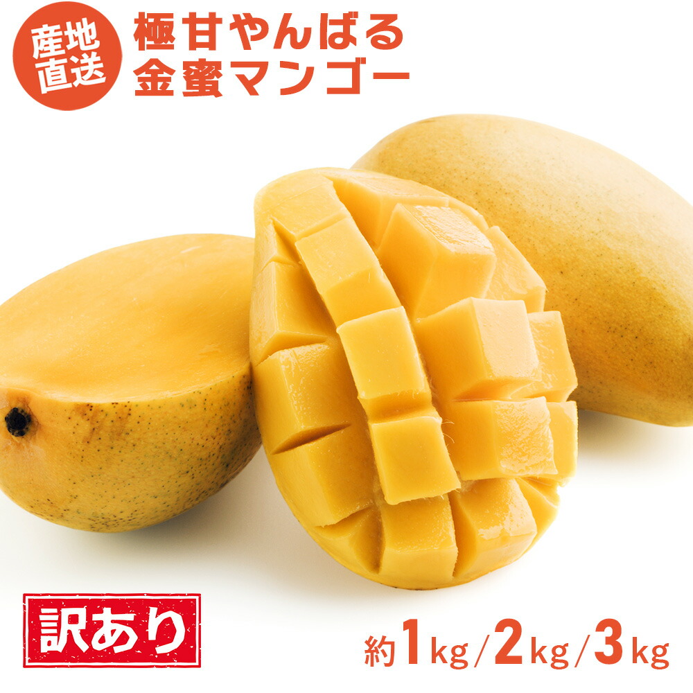 楽天市場】奄美大島産 ミニマンゴー 約1kg 小玉 C品 ご家庭用