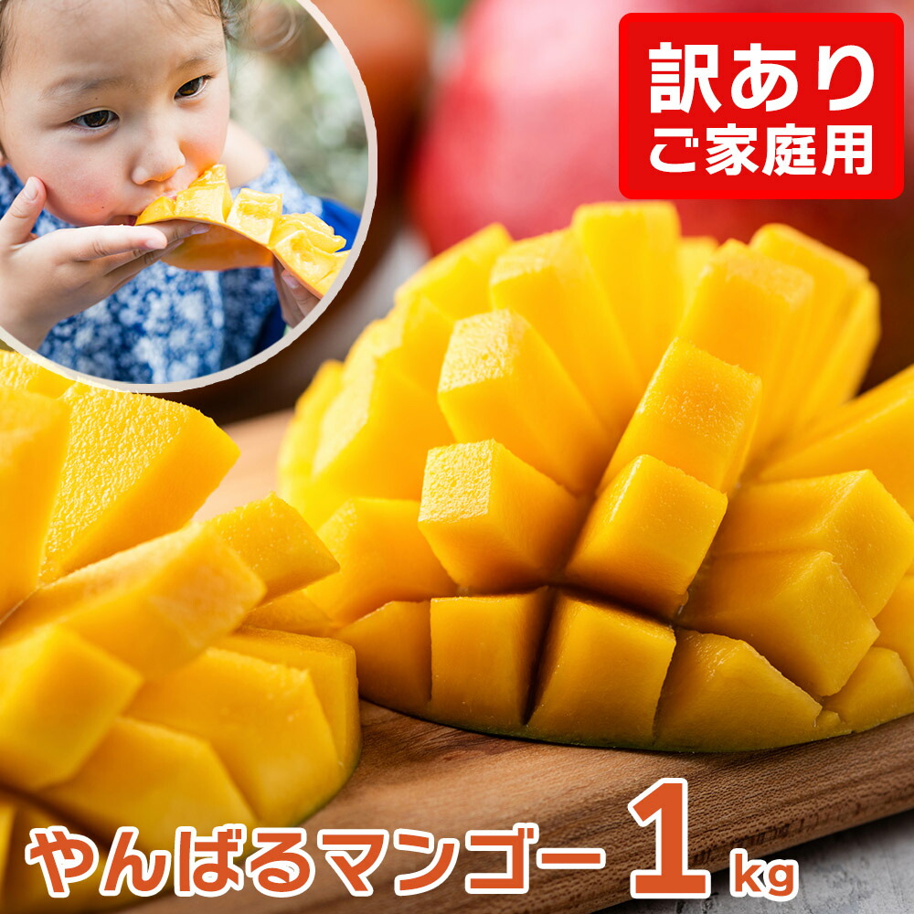 【送料無料】【訳ありマンゴー約1kg 】 マンゴー 訳あり 太陽のタマゴ マンゴージュース 宮崎 2kg 宮古島 完熟 2l タイ 沖縄 訳アリ 家庭用 宮崎県 マンゴーチョコ 秀 スイーツ スムージー 台湾  冷凍 沖縄土産 ミニマンゴー 御中元 お中元 大玉 3l 暑中見舞い 残暑見舞い