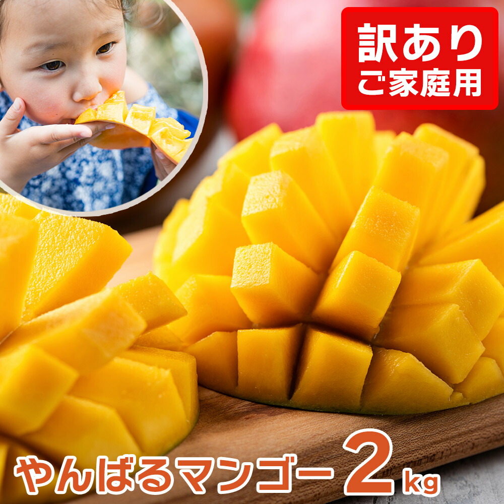 【送料無料】【訳ありマンゴー約2kg】マンゴー 訳あり 太陽のタマゴ マンゴージュース 宮崎 2kg 宮古島 完熟 2l タイ 沖縄 訳アリ 家庭用 マンゴーチョコ 秀 スイーツ スムージー 台湾 鹿児島 冷凍 沖縄土産 ミニマンゴー 御中元 お中元 大玉 3l 暑中見舞い 残暑見舞い