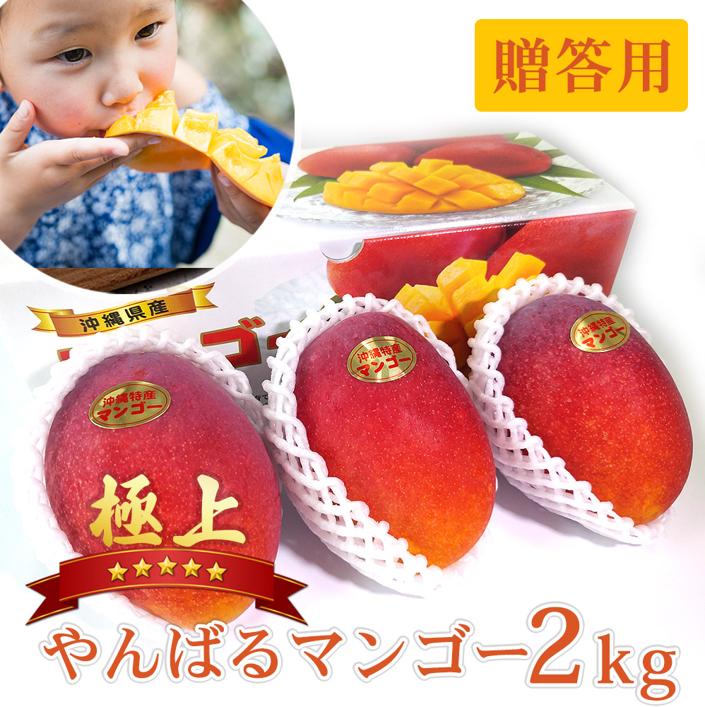 【送料無料】極上やんばるマンゴー約2kg【贈答用】 マンゴー 太陽のタマゴ マンゴージュース 宮崎 2kg 宮古島 完熟 2l タイ 沖縄 家庭用 宮崎県 マンゴーチョコ 秀 スイーツ スムージー 冷凍 御中元 お中元 大玉 暑中見舞い 残暑見舞い