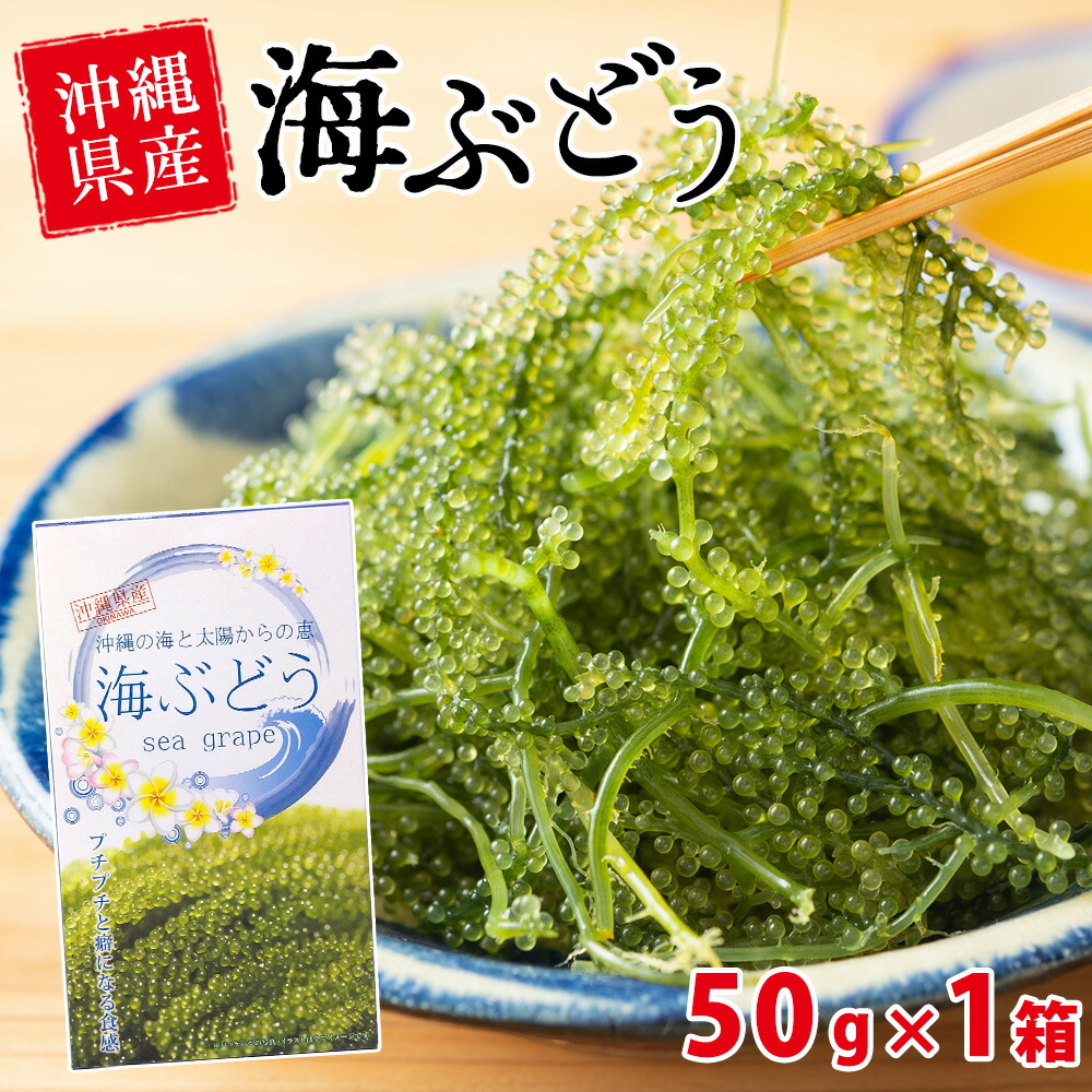 【沖縄】茎なしA級品 生！海ぶどう大箱１ｋｇ（シークヮーサー果汁入りタレ付） 茎なしA級品 生！海ぶどう100g（シークヮーサー果汁入りタレ