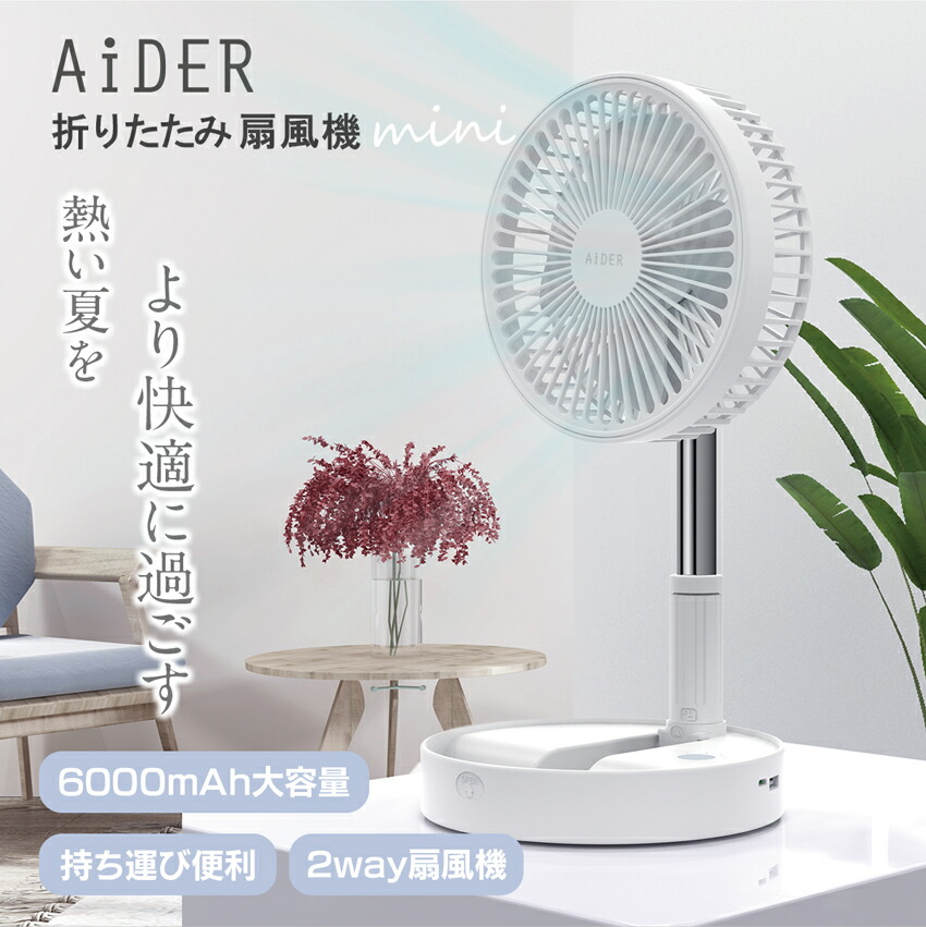 fan2_02.jpg