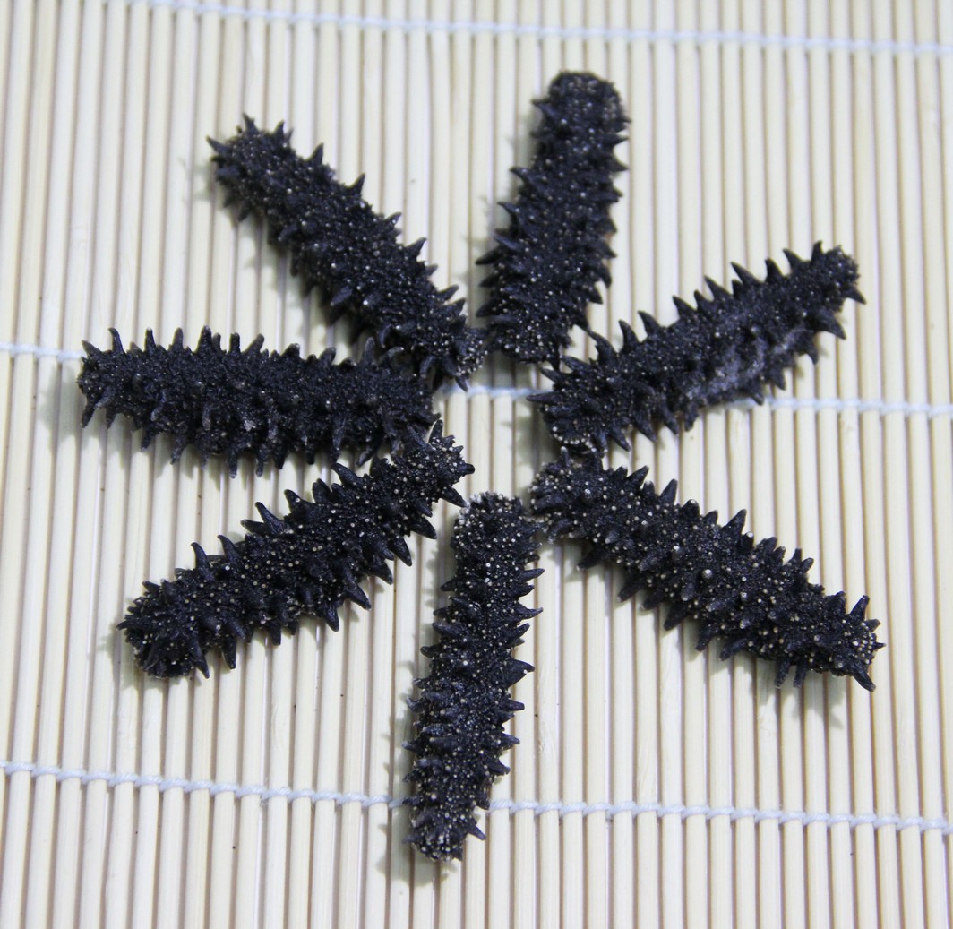 楽天市場】【北海道産】乾燥なまこ 100g LサイズA級品【ナマコ