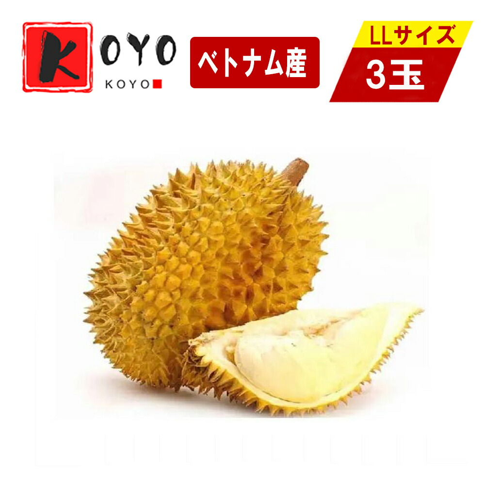 ベトナム産 ドリアン  生鮮 フレッシュ フルーツ 榴蓮 果物の王様 LLサイズ 1玉あたり2.2kg～2.9kg前後 3玉
