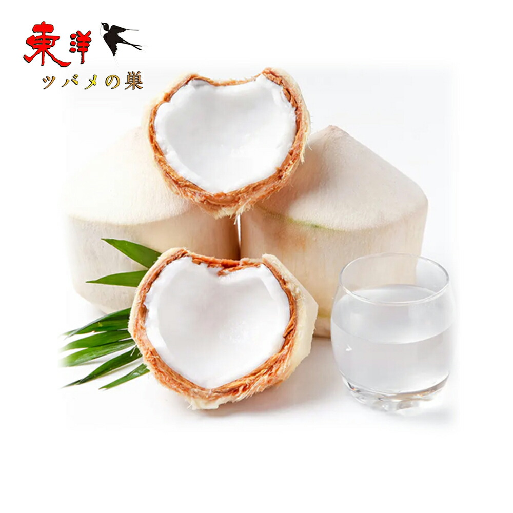 楽天市場】ココナッツ青椰【1点】新鮮フレッシュヤングココナッツ