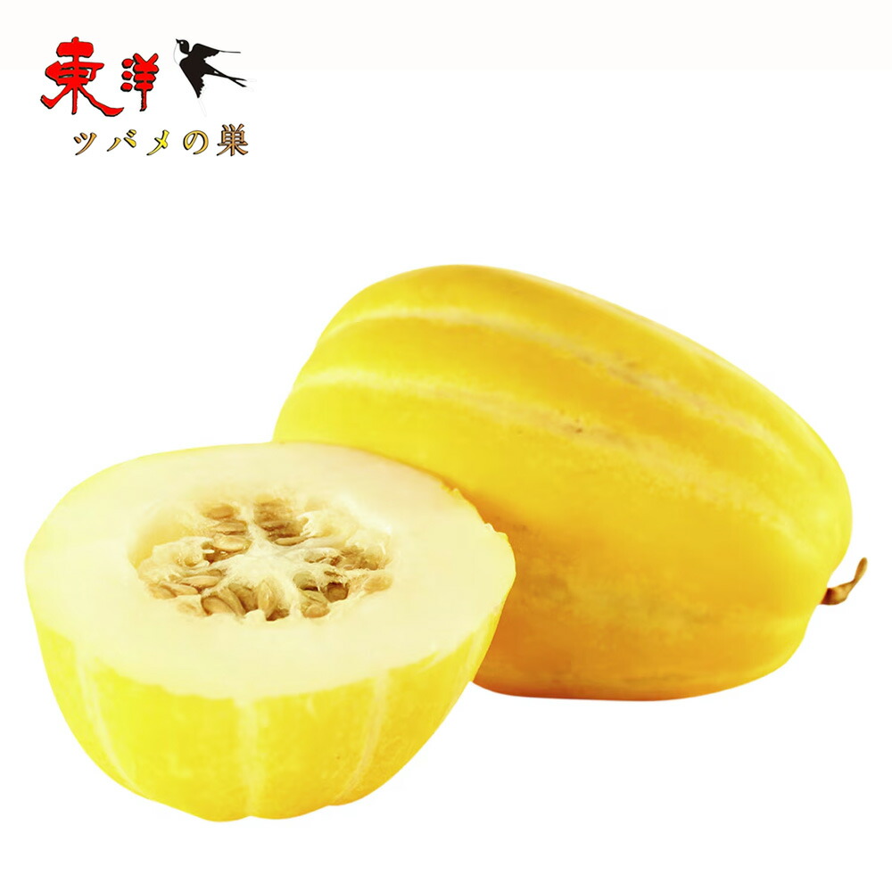 即日発送+業者直販　韓国チャメ　香瓜マクワウリ　10KG Amazon.co.jp: [韓国直輸入]チャメ（マクワウリ）（韓国フルーツ