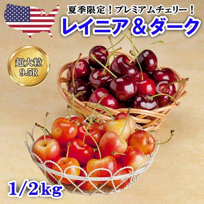 【予約】超大粒 9.5R レイニアチェリー & ダークチェリー 1kg(各500g) 、2kg(各1kg)【 食べ比べセット ミックス さくらんぼ アメリカンチェリー レーニア ワシントン産 限定 厳選 高級 プレミアム 果物 フルーツ 旬 ギフト 贈答 贈り物 プレゼント 御中元 父の日 送料無料 】