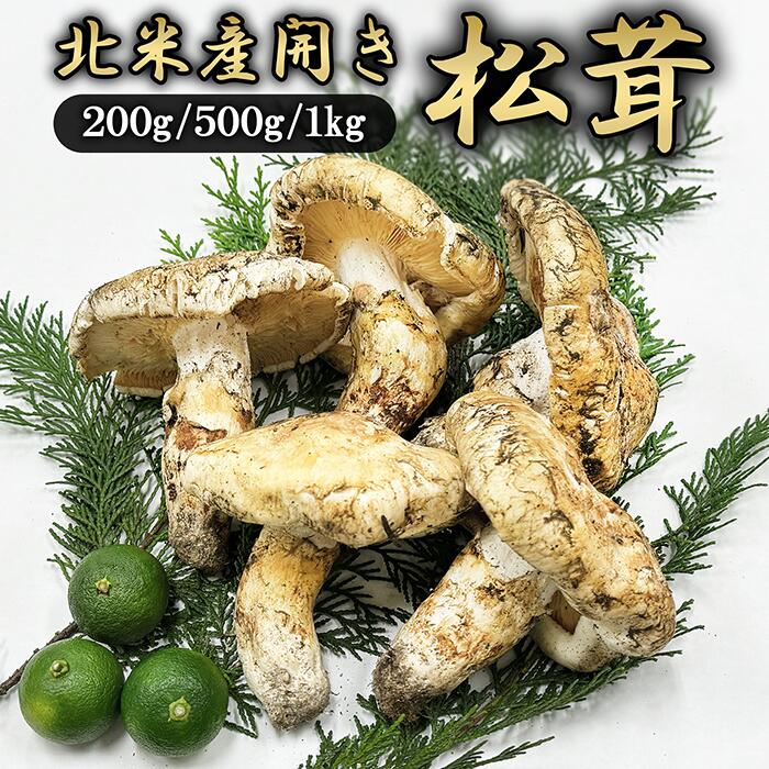 楽天市場】松茸 北米産 贈答用 木箱 300g スダチ2個付き : 夜の八百屋さん