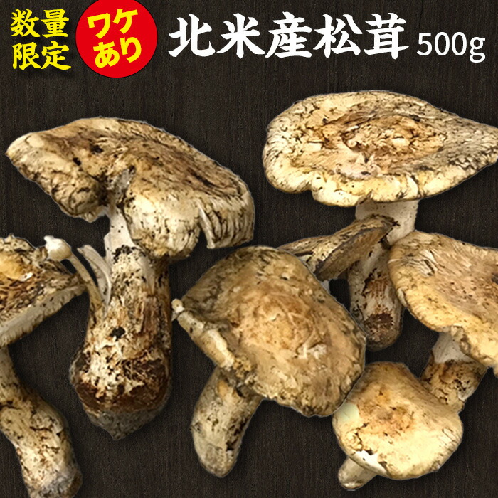 楽天市場】【天然松茸 400g】北米産(カナダ・アメリカ産) まつたけ ...