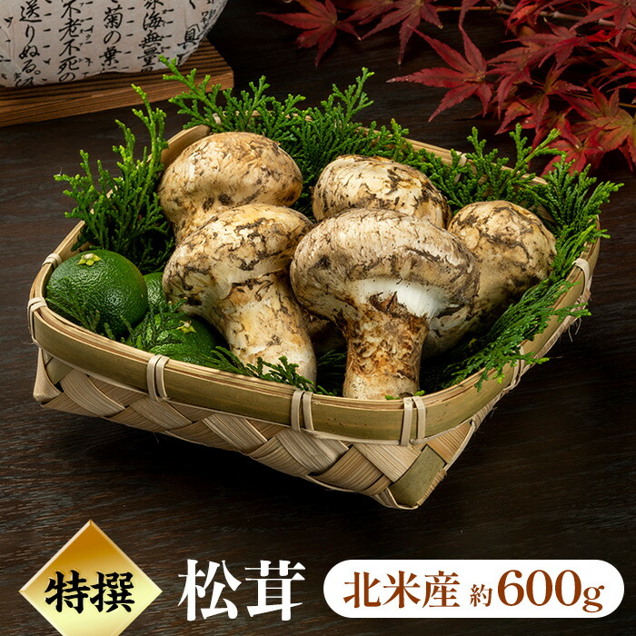 楽天市場】【天然松茸 400g】北米産(カナダ・アメリカ産) まつたけ ...