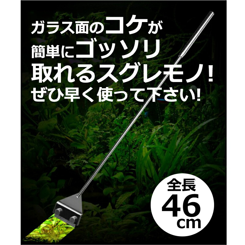 楽天市場 10 14限定エントリーでp2倍 コケ取り スクレーパー プロレイザー 46cm 替え刃11枚付 アクアリウム 水草 苔 水槽 掃除 クリーナー 苔取り シェーバー コケ 対策 水草 水草水槽 そうじ Yao Store