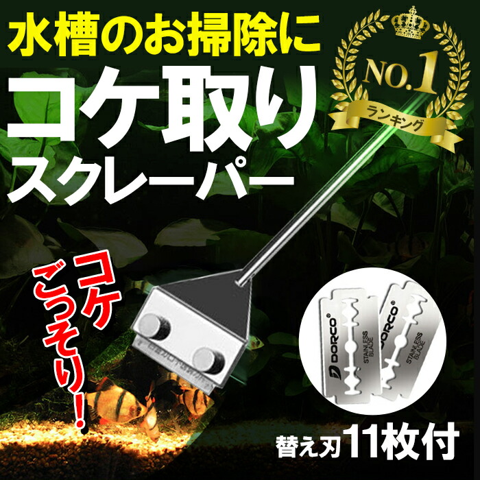 楽天市場 1 1 3限定エントリーでp最大40倍 コケ取り スクレーパー プロレイザー 46cm 替え刃11枚付 アクアリウム 水草 苔 水槽 掃除 クリーナー 苔取り シェーバー コケ 対策 水草 水草水槽 そうじ Yao Store