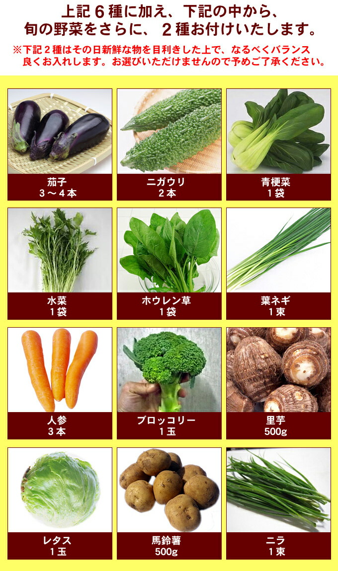 楽天市場 九州 夏の野菜セット クール便 送料無料 最大９種 2 280円 税別 九州 宮崎よりお届け 八百ヤマト楽天市場店