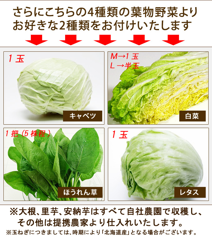 楽天市場 冬の旬野菜 ヤマトの野菜セット たっぷり根菜 選べる葉物２種 さらに 赤卵６コおまけ 安納芋も入ります 送料無料 九州 宮崎よりお届け 八百ヤマト楽天市場店