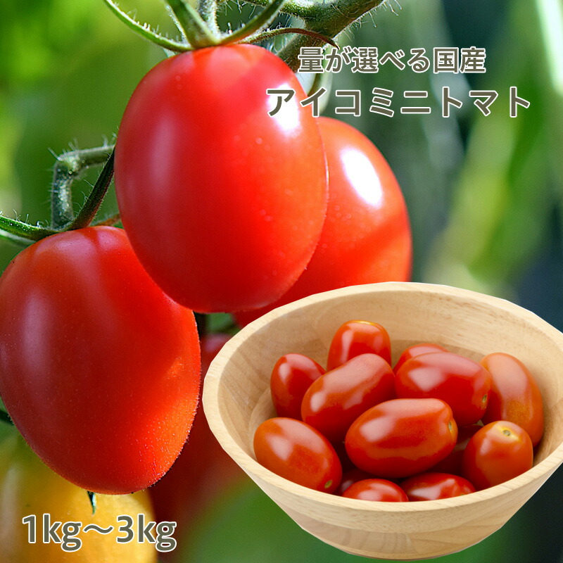 ミコちゃん様 アイコ6kg ミニトマト 農家直送 mini05.jpg