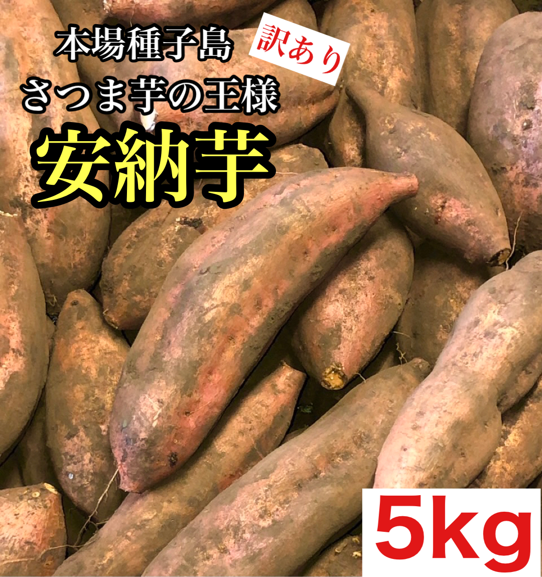 数量限定価格 紅はるか 【本場】焼き芋屋さんの新物◎ 茨城県産 紅