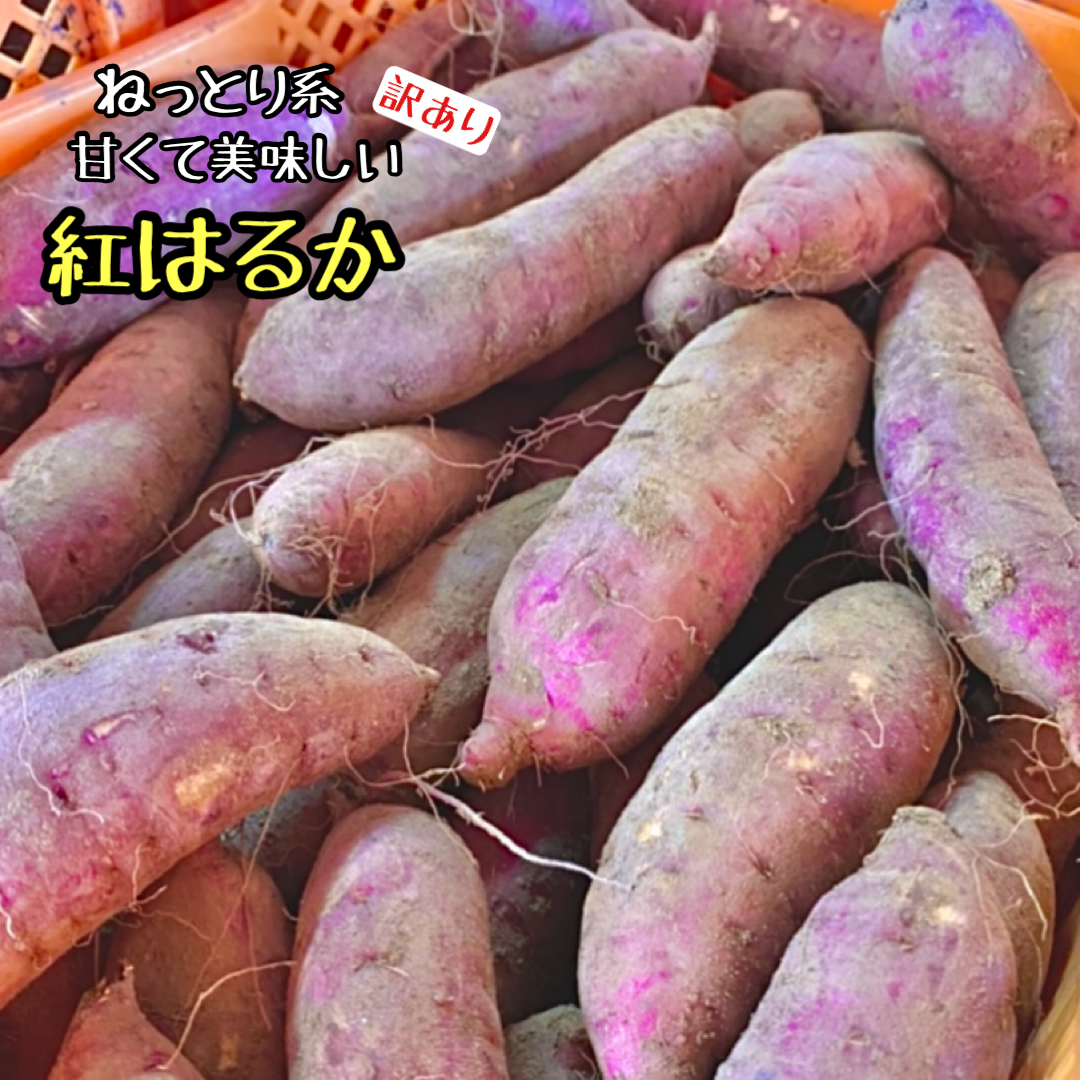 年末のプロモーション 茨城県産 紅はるか 2S 20kg nascd.edu.bd