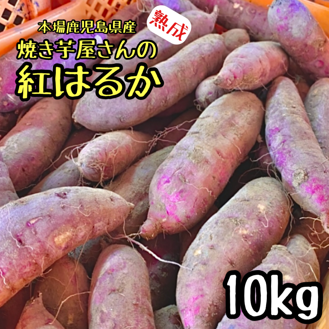 楽天市場】お得！！２ｋｇ 焼き芋屋さんの熟成芋◎訳あり 紅はるか