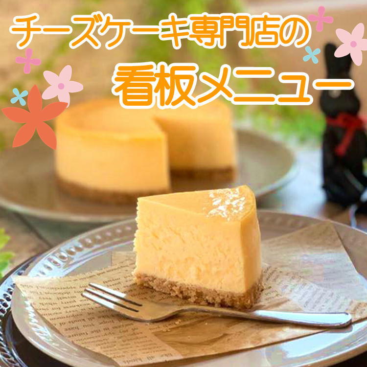 ゼニアオイケーク 孔 6サイズ チーズケーキ専業売店 生誕日曜日 スイーツ 慶典 宮城 仙台 ニューヨークチーズケーキ ベイクド 貨物輸送無料 クリスマス 人受け お父っさんの日 母親の日 Cspeducation Com