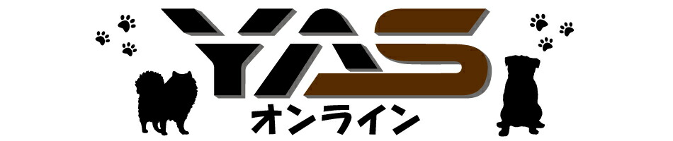 yas����饤�󡧥磻���������Ǥϡ����å�����Ť��濴���͡��ʲ������ʤ��갷�äƤ��ޤ�
