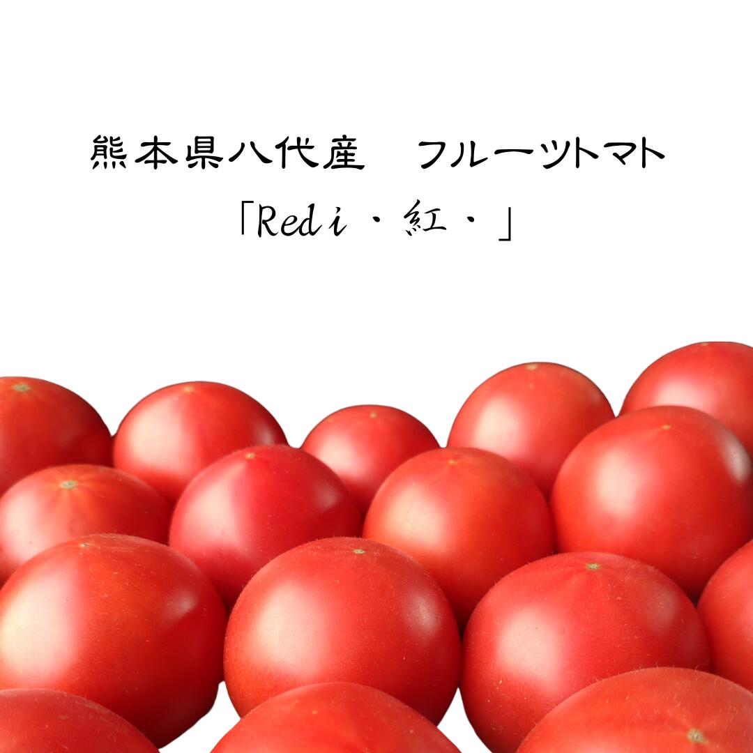 【 販売期間延長！！ 】 父の日 トマト 1kg 1キロ フルーツトマト 高糖度 糖度 甘い トマト 箱 箱売り トマトジュース 熊本 とまと 塩 美味しい 甘くておいしい 高級 トマト ギフト 贈答 パック 野菜 野菜セット 送料無料 農家 直送 国産 プレゼント 美容 リコピン