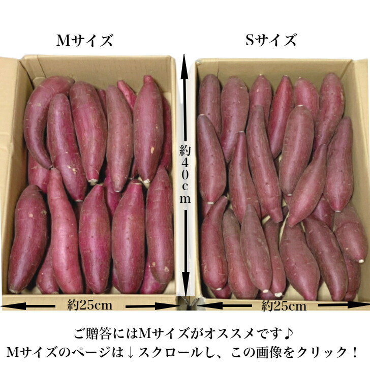 楽天市場】売れてます お取り寄せグルメ 千葉県かとり産 シルク