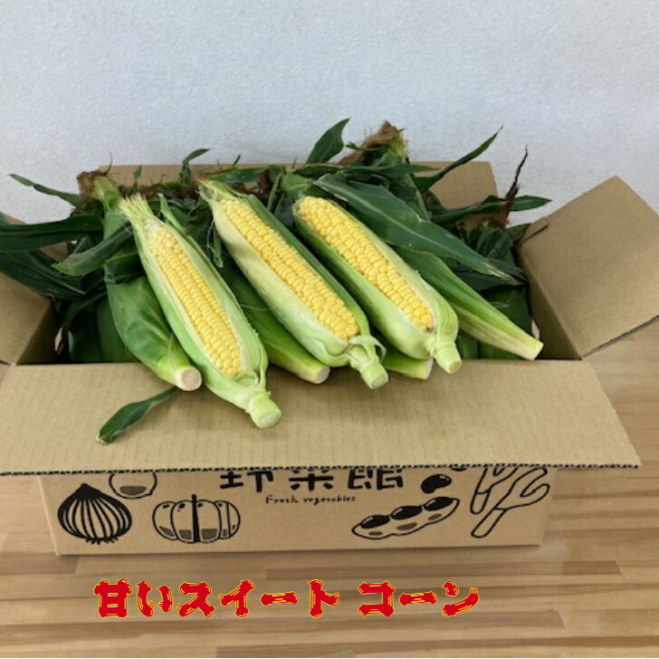 期間限定 甘くて 美味しいとうもろこし（スイート コーン）1箱×19本～20本入り