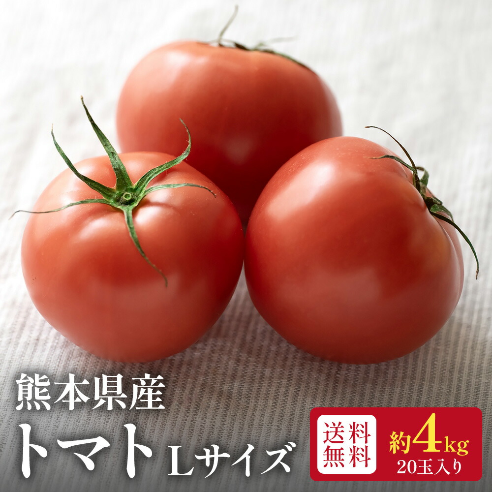 楽天市場】熊本県産 トマト 等級A・L〜2Lサイズ（16〜20玉入