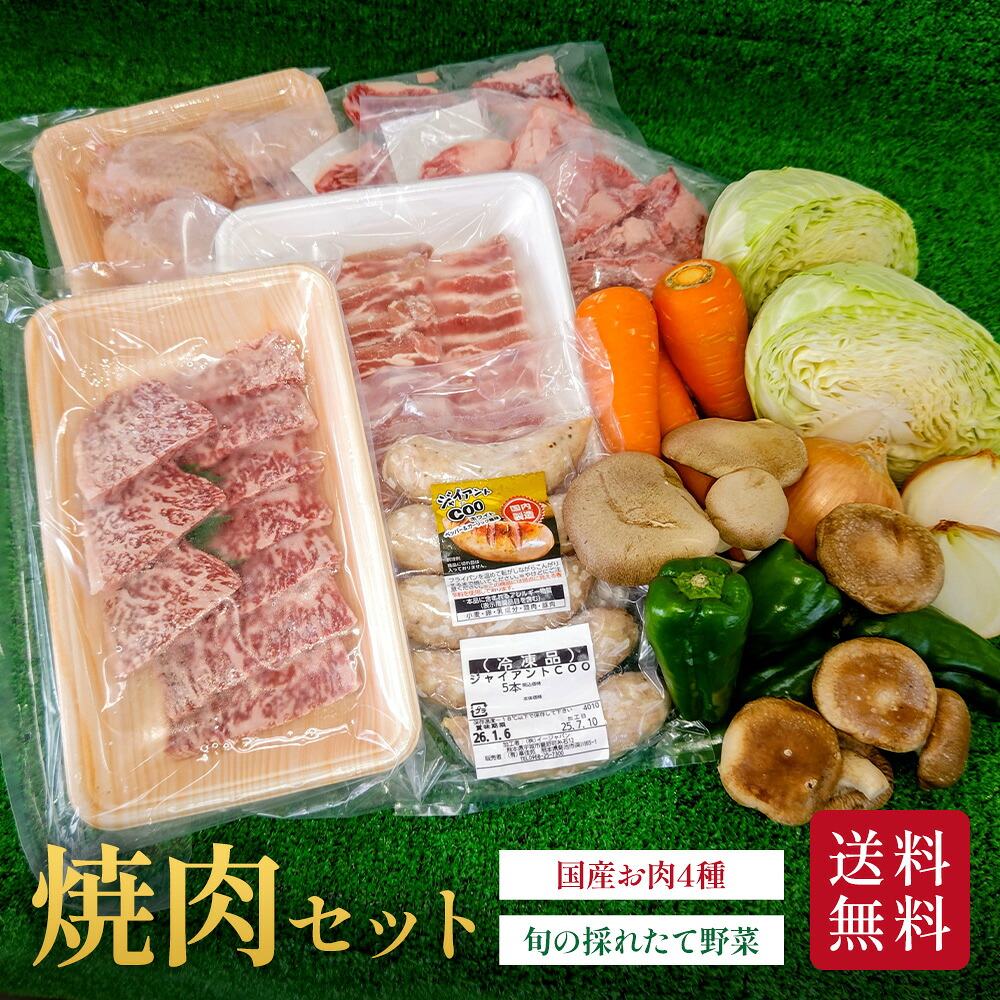 【送料無料】国産お肉（4品）とお野菜（6～7品） 約3.25kg 一緒にお買い物 焼肉セット お肉(1.55kg) お野菜(1.7kg)お取り寄せ グルメ 新鮮 家庭用 健康 ギフト 贈答 サラダ 料理 仕送り 記念日 誕生日 旬のお野菜を厳選してお届け ハロウィン【のし対応】