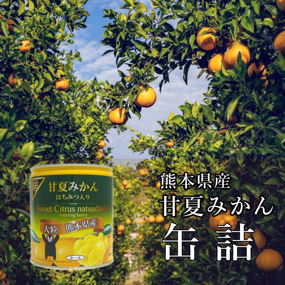 熊本県産 甘夏缶詰12缶 はちみつ入り 全商品オープニング価格