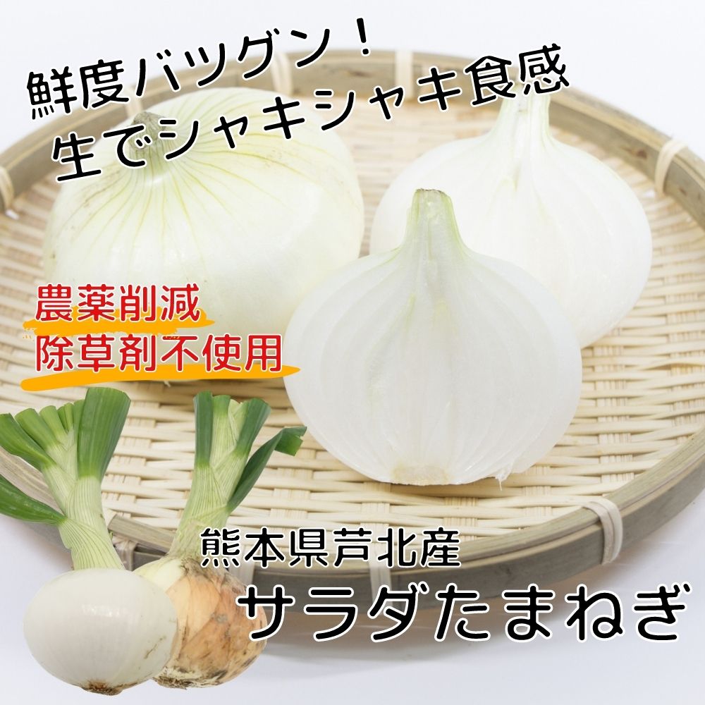 楽天市場 6玉 約2kg 葉玉ねぎ 新タマネギ サラダたまねぎ 熊本県産 数量限定 エコファーマー 特別栽培 除草剤不使用 減農薬 送料無料 産地直送 野菜 食品ロス フードロス コロナ 支援 やさいのほうせき