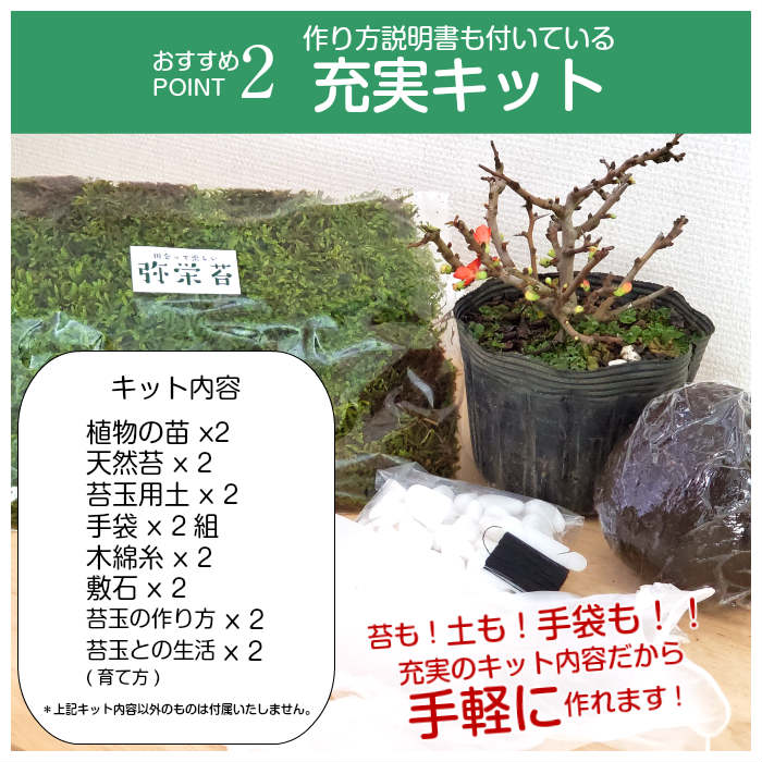 楽天市場 苔 苔玉 キット 敬老の日 選べる縁起物苔玉キット 2個セット 弥栄苔 楽天市場店