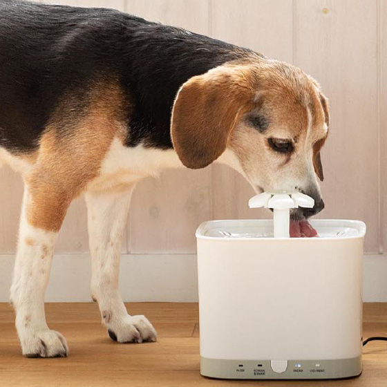 名作 ペット用 クリーンサーバー 自動給水器 ペット きれいな水がいつでも飲める 水飲み 犬 ウォーターボウル センサーで検知して水を流すエコ機能付き 犬 水飲み 猫 水やり ペット給水器 水飲み器 循環式給水器 水 ペット 綺麗 自動 給水器 水器 ウォーターボウル