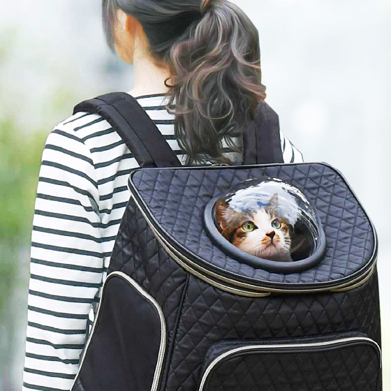 ドーム付 ペット用 キャリーバック 【猫キャリーリュック 猫キャリーバッグ 猫キャリー 犬キャリーバッグ 猫リュック 猫キャリーバック 猫キャリーバッグリュック 犬用 キャリーバッグ 犬 キャリー 犬 キャリー リュック】|やさしさON-LINE