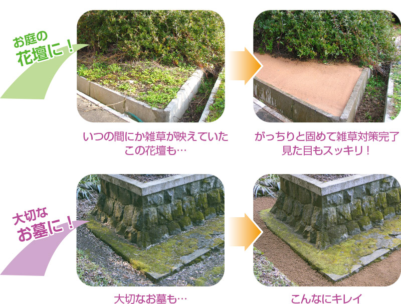 定番のお歳暮 固まる土 魔法の土 カチカチ君 徳用3袋 Www Amjourneysintl Com