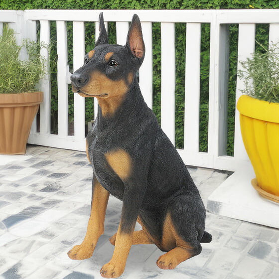 楽天市場】【ランキング1位獲得】 陶器犬 ドーベルマンほぼ実物大♪高