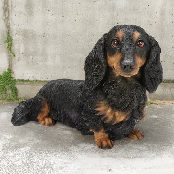 楽天市場】犬の置物 ダックスフント ブラック＆タン スタンドビッグ