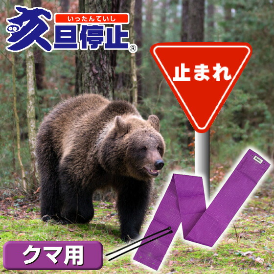 亥旦食い止める 熊用50枚 熊 打つ手 グッズ  熊打つ手 悪臭い トウガラシ いったんていし 熊被害 カプサイシン 避けること剤 熊打つ手 作り物 出しゃばる 押しとどめる 熊打つ手装置 駒寄せ サイバー空間 熊よけ打つ手 福井熱処理