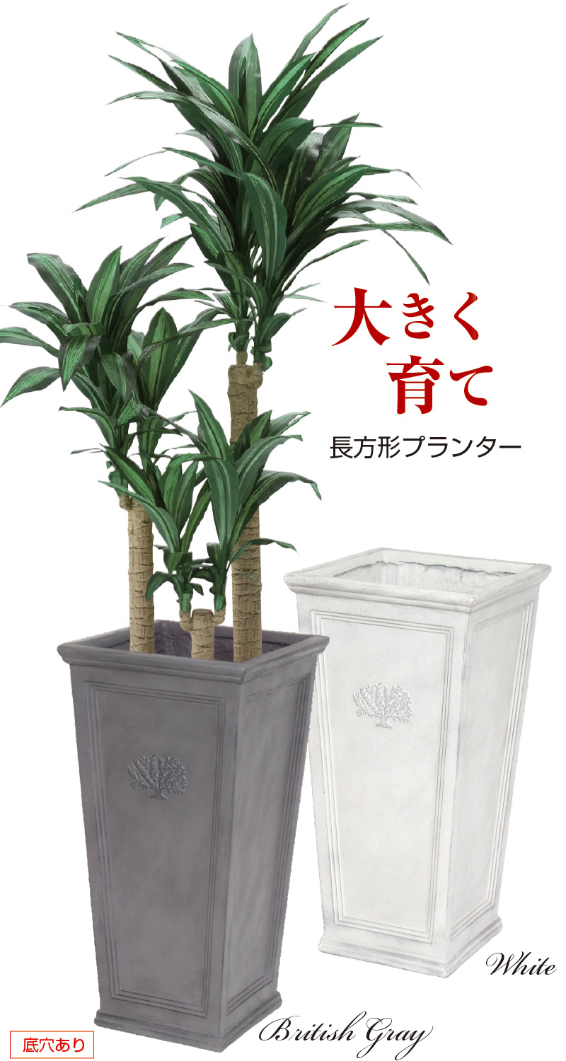 【引き換え証で5000円OFF】 スクエアロングフォレスト  プランター 今めかしい 大型 鉢 鉢 御花ポット 御花照明ランプ 愛くるしげ 自然的 ロングプランターフォレスト 白いこと 薄墨色 貨物輸送無料 ガーデニング 寄せ植え 室外 屋内 花 草木 村田屋工業