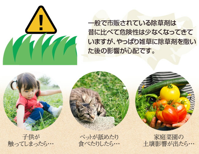 草とりバイオくん 3本組 除草剤 根まで枯らす 除草剤 除雪 送料無料 安全 除草剤 除草剤 雑草 無害 安全な除草剤 除草液 草取り 枯らす ペット 子供 安全 芝 芝生 草抜き 土 汚さない 雑草取り やさしさｏｎ ｌｉｎｅ木は枯らさずに草だけ枯らす環境にやさしい